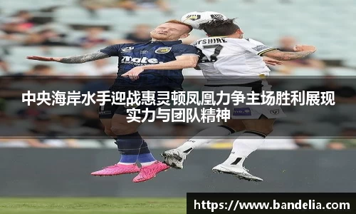 中央海岸水手迎战惠灵顿凤凰力争主场胜利展现实力与团队精神